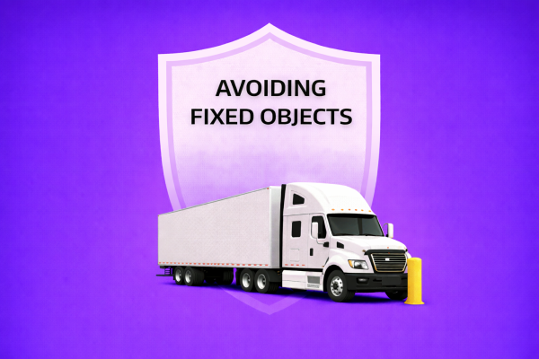 Avoiding Fixed Objects
